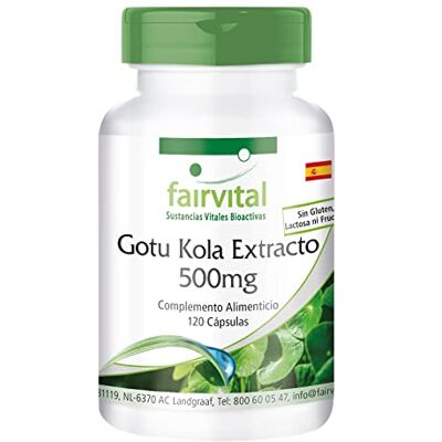 fairvital Gotu Kola, 120 cápsulas, com 500 mg de extrato de centella asiática por cápsula, ALTA DOSIS, VEGANO fairvital Gotu Kola, 120 cápsulas, com 500 mg de extrato de centella asiática por cápsula, ALTA DOSIS, VEGANO