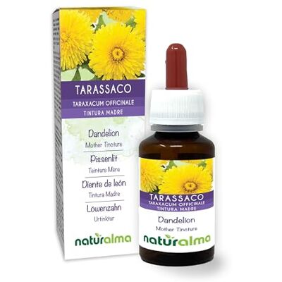 Naturalma Dente-de-leão (Taraxacum officinale) raízes e folhas pintura mãe sem álcool natureza extrato líquido gotas 60 ml complemento alimentar vegano Naturalma Dente-de-leão (Taraxacum officinale) raízes e folhas pintura mãe sem álcool natureza extrato líquido gotas 60 ml complemento alimentar vegano