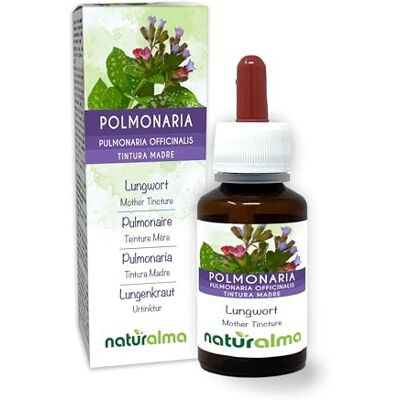 Naturalma Pulmonaria (Pulmonaria officinalis) erva com flores Tintura Mãe sem álcool Extrato líquido gotas 60 ml Suplemento alimentar Vegano Naturalma Pulmonaria (Pulmonaria officinalis) erva com flores Tintura Mãe sem álcool Extrato líquido gotas 60 ml Suplemento alimentar Vegano