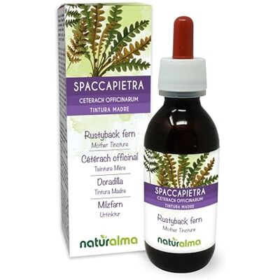 Naturalma Doradilla (Ceterach officinarum ou Asplenium ceterach) folhas Tintura Mãe sem álcool Extrato líquido gotas 120 ml Suplemento alimentar Vegano Naturalma Doradilla (Ceterach officinarum ou Asplenium ceterach) folhas Tintura Mãe sem álcool Extrato líquido gotas 120 ml Suplemento alimentar Vegano