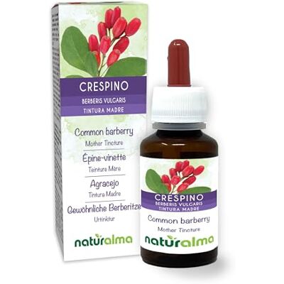 Naturalma Berberis vulgaris) casca das raízes pintura mãe sem álcool natureza extrato líquido gotas 60 ml complemento alimentar vegano Naturalma Berberis vulgaris) casca das raízes pintura mãe sem álcool natureza extrato líquido gotas 60 ml complemento alimentar vegano