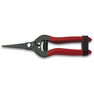 3 Claveles Tesoura limpa uva reta de 19 cm, preta com pega vermelha, fecho de segurança, para recolha e vindima 3 Claveles Tesoura limpa uva reta de 19 cm, preta com pega vermelha, fecho de segurança, para recolha e vindima