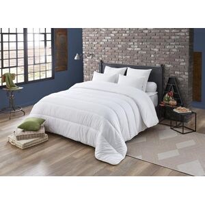 DODO Edredão macio e quente 140 x 200 para cama de solteiro, edredão noblesse insuflável e conforto Cocooning, fabricado em França, lavável na máquina a 40 °C DODO Edredão macio e quente 140 x 200 para cama de solteiro, edredão noblesse insuflável e conforto Cocooning, fabricado em França, lavável na máquina a 40 °C