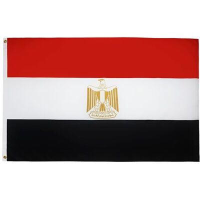 AZ FLAG Bandeira Egito 90 x 60 cm Bandeira Egípcia 100% poliéster com ilhoses de metal integrados 50 g Cores vivas e resistente à descoloração AZ FLAG Bandeira Egito 90 x 60 cm Bandeira Egípcia 100% poliéster com ilhoses de metal integrados 50 g Cores vivas e resistente à descoloração