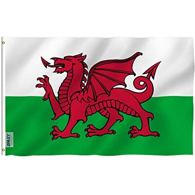 Anley Fly Breeze Bandeira do País de Gales de 1,37 x 1,52 m Cor vívida e resistente à decoloração UV Cabeça de lona e costura dupla Bandeiras nacionais galesas em poliéster com argolas Anley Fly Breeze Bandeira do País de Gales de 1,37 x 1,52 m Cor vívida e resistente à decoloração UV Cabeça de lona e costura dupla Bandeiras nacionais galesas em poliéster com argolas