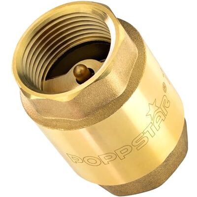 POPPSTAR Válvula antirretorno de 1 polegada (latão, inoxidável e impermeável) para bomba e máquina de lavar POPPSTAR Válvula antirretorno de 1 polegada (latão, inoxidável e impermeável) para bomba e máquina de lavar