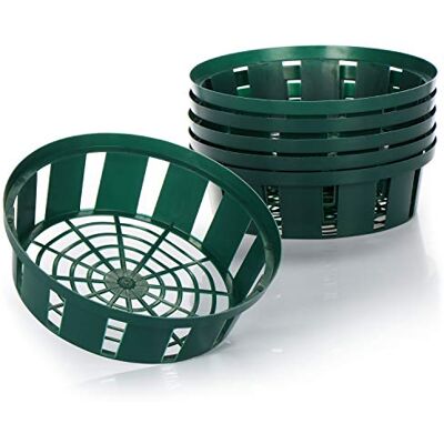 com-four ® 6X cestas de plantas para bulbos, tigela de cultivo para plantar e armazenar plantas de cebola, cesta pequena de cebola verde (06 x tigela de plantação 22 cm) com-four ® 6X cestas de plantas para bulbos, tigela de cultivo para plantar e armazenar plantas de cebola, cesta pequena de cebola verde (06 x tigela de plantação 22 cm)