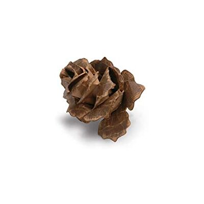 Sizzix Bigz Troquel Pinhões Jumbo Tattered Sizzix Bigz Troquel Pinhões Jumbo Tattered