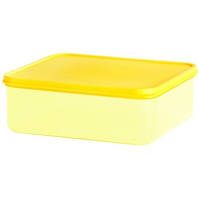 Excelsa Keeper Caixa retangular, 100 ml, polipropileno, 8 x 6 x 4 cm Excelsa Keeper Caixa retangular, 100 ml, polipropileno, 8 x 6 x 4 cm