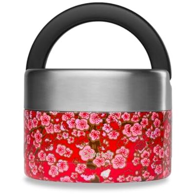 QWETCH Lancheira Isotérmica Inox com Alça Aço Inoxidável 650ml Flores Vermelho Caixa de Almoço 5h Quente e 7h Fria Hermética, Sem BPA e Reutilizável Lunch Box para Escritório, Piquenique QWETCH Lancheira Isotérmica Inox com Alça Aço Inoxidável 650ml Flores Vermelho Caixa de Almoço 5h Quente e 7h Fria Hermética, Sem BPA e Reutilizável Lunch Box para Escritório, Piquenique