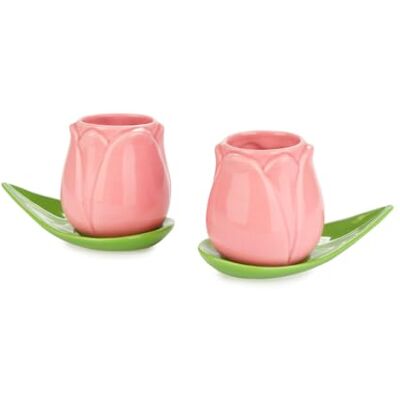 Balvi Conjunto canecas de café Tulip cor-de-rosa/verde 2 chávenas em forma de tulipa e 2 pratos em forma de folha Balvi Conjunto canecas de café Tulip cor-de-rosa/verde 2 chávenas em forma de tulipa e 2 pratos em forma de folha