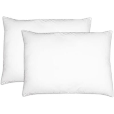 ZOLLNER Conjunto de 2 almofadas fabricadas na Alemanha, enchimento de poliéster, capa de poliéster lavável a 60 °C 40 x 60 cm, qualidade hoteleira, certificação Oeko Tex ZOLLNER Conjunto de 2 almofadas fabricadas na Alemanha, enchimento de poliéster, capa de poliéster lavável a 60 °C 40 x 60 cm, qualidade hoteleira, certificação Oeko Tex