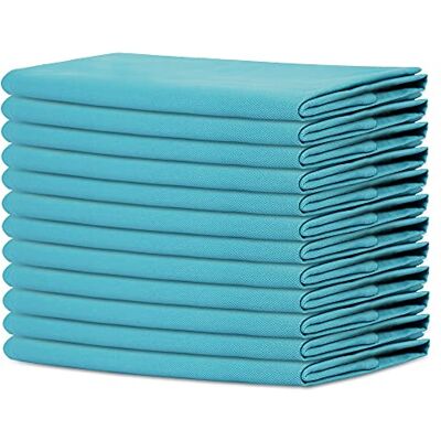 SweetNeedle Sweet Needle Pacote de 12 Guardanapos de Grande Tamanho 100% Algodão 45 cm x 45 cm (18" x 18"), Azul Verdeado Tecido Grosso para Uso Diário com Cantos Arredondados SweetNeedle Sweet Needle Pacote de 12 Guardanapos de Grande Tamanho 100% Algodão 45 cm x 45 cm (18" x 18"), Azul Verdeado Tecido Grosso para Uso Diário com Cantos Arredondados