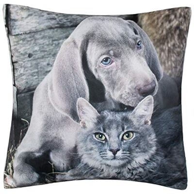 Brandsseller Almofada decorativa com design de animais, 40 x 40 cm, cachorro e gato Brandsseller Almofada decorativa com design de animais, 40 x 40 cm, cachorro e gato