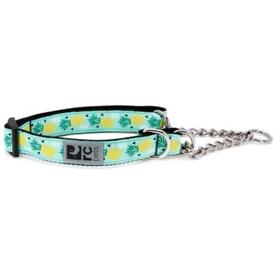 RC Pet Products Coleira de cão Martingale, ananás parade RC Pet Products Coleira de cão Martingale, ananás parade
