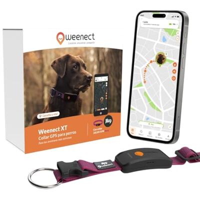 Weenect Dog XT Nova coleira GPS para cães antena XL impermeável coleira rosa ultra-resistente integrada Julius-K9 garantia vitalícia subscrição necessária Weenect Dog XT Nova coleira GPS para cães antena XL impermeável coleira rosa ultra-resistente integrada Julius-K9 garantia vitalícia subscrição necessária
