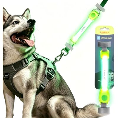LaRoo Intermitente LED coleiras encantos para cães, USB recarregável impermeável silicone macio luminoso Charms para cão colares, cão passear à noite, Silicone LaRoo Intermitente LED coleiras encantos para cães, USB recarregável impermeável silicone macio luminoso Charms para cão colares, cão passear à noite, Silicone
