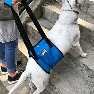 Diyafas Arnês de reabilitação de apoio para cães estilinga de ajuda auxiliar para animais de estimação com deficiência lesados idosos Diyafas Arnês de reabilitação de apoio para cães estilinga de ajuda auxiliar para animais de estimação com deficiência lesados idosos