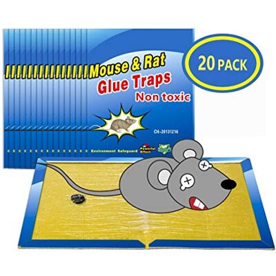 Wemk Ratoseiras 20 Peças Almofada Adesiva de Rato Coletor de Rato Controlo de Ratos Super Adesivo 20,2 x 30,5cm Wemk Ratoseiras 20 Peças Almofada Adesiva de Rato Coletor de Rato Controlo de Ratos Super Adesivo 20,2 x 30,5cm