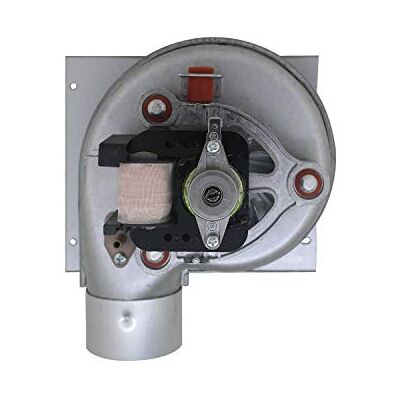 ROOwarMer Ventilador de caldeira de biomassa 220v extrator radial ventilador centrífugo fogão pellets extrator fumos chaminé industrial ROOwarMer Ventilador de caldeira de biomassa 220v extrator radial ventilador centrífugo fogão pellets extrator fumos chaminé industrial