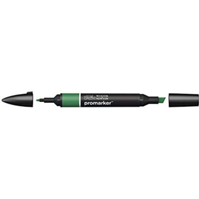 Winsor & Newton Marcador ProMarker, Verde Pera (Y635), Verde Winsor & Newton Marcador ProMarker, Verde Pera (Y635), Verde