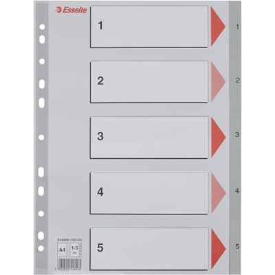 Esselte Leitz separador para arquivadores, prateado A4 Esselte Leitz separador para arquivadores, prateado A4