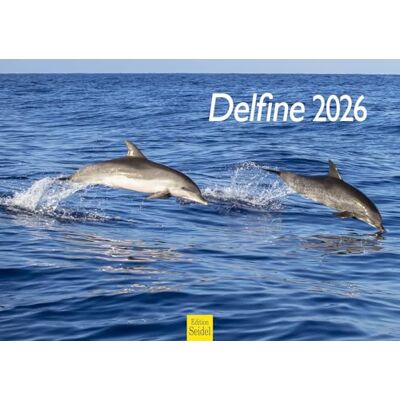 Edition Seidel Calendário premium de golfinhos 2026, formato DIN A3, calendário de parede, calendário de animais, golfinhos, baleias, orcas, mamíferos, mar, oceano Edition Seidel Calendário premium de golfinhos 2026, formato DIN A3, calendário de parede, calendário de animais, golfinhos, baleias, orcas, mamíferos, mar, oceano