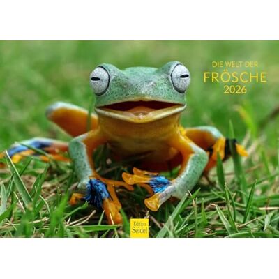 Edition Seidel Calendário premium com texto em alemão "Die Welt der Frösche 2026", formato DIN A4, calendário de parede, animais, rã, sapo, anfíbios Edition Seidel Calendário premium com texto em alemão "Die Welt der Frösche 2026", formato DIN A4, calendário de parede, animais, rã, sapo, anfíbios