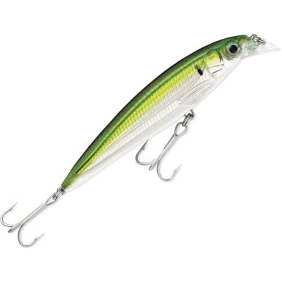 Rapala X-Rap Saltwater Fishing Lure Rapala X-Rap Saltwater Fishing Lure