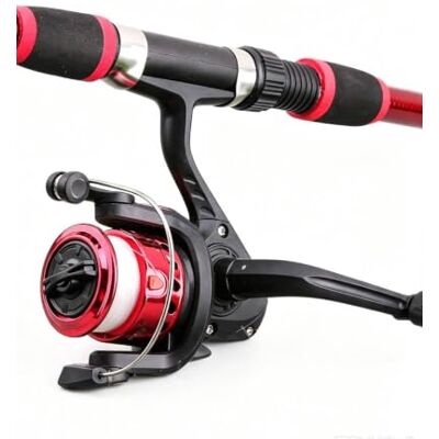 Tissting Bobina de pesca giratória tipo 200, relação de transmissão 5.1: 1, leve e potente, carretel de pesca de copo de linha, adequado para canas de mar curtas Tissting Bobina de pesca giratória tipo 200, relação de transmissão 5.1: 1, leve e potente, carretel de pesca de copo de linha, adequado para canas de mar curtas