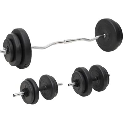 vidaXL Conjunto de barras e halteres com discos 60 kg vidaXL Conjunto de barras e halteres com discos 60 kg