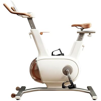 Clover fitness Bicicleta de apartamento Sophy W1 – treina em casa e no ginásio Clover fitness Bicicleta de apartamento Sophy W1 – treina em casa e no ginásio