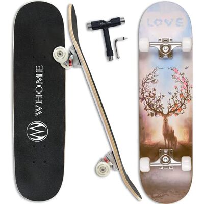 WHOME Pro Skateboard completo para menino e menina/adulto principiante/Pro, 31 x 8 polegadas, skate padrão, 8 camadas, Alpine Maple Deck ABEC-9, inclui T-Tool WHOME Pro Skateboard completo para menino e menina/adulto principiante/Pro, 31 x 8 polegadas, skate padrão, 8 camadas, Alpine Maple Deck ABEC-9, inclui T-Tool