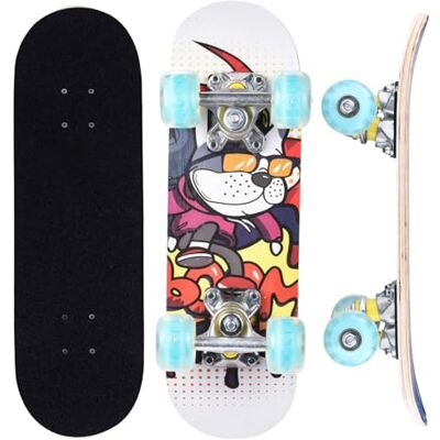 ERNAN Skateboard, skate completo profissional de 17 x 5 polegadas, 7 camadas skate de madeira de ácer com rolamento ABEC-7 para menino menina ERNAN Skateboard, skate completo profissional de 17 x 5 polegadas, 7 camadas skate de madeira de ácer com rolamento ABEC-7 para menino menina