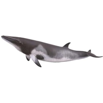 Collecta Baleia Minke (88862) Collecta Baleia Minke (88862)