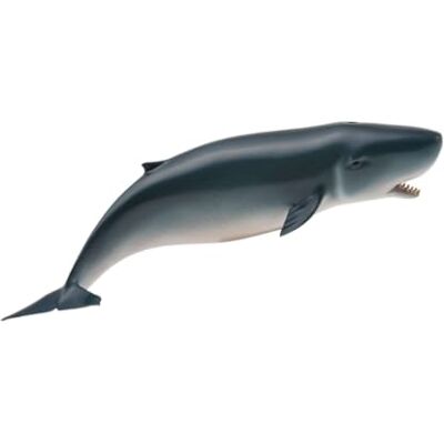 Figura Collecta baleia pigmeia - Réplica de vida marinha para maiores de 3+ Figura Collecta baleia pigmeia - Réplica de vida marinha para maiores de 3+