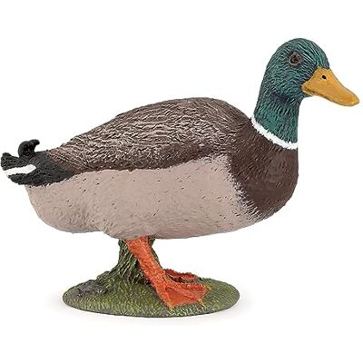 Papo Figura realista de pato azul, coleção vida na quinta, crianças 3+ Papo Figura realista de pato azul, coleção vida na quinta, crianças 3+