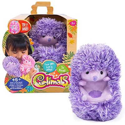 Curlimals Higgle ouriço, animal de estimação interativo de cor roxa, com movimento e + de 45 sons, enrola-se e esconde-se na sua mão, para meninos e meninas a partir dos 3 anos, Famosa () Curlimals Higgle ouriço, animal de estimação interativo de cor roxa, com movimento e + de 45 sons, enrola-se e esconde-se na sua mão, para meninos e meninas a partir dos 3 anos, Famosa ()