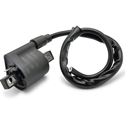 Easyboost Bobina de ignição para Scooter 50cc 2 tempos e Moto 50 cc AM6 MBK Booster Nitro Aerox Stunt Rieju MRT RS2 RS3 Sherco SM SE Yamaha DT Mach-G Rocket Bw's Piaggio NRG Zip Typhoon Easyboost Bobina de ignição para Scooter 50cc 2 tempos e Moto 50 cc AM6 MBK Booster Nitro Aerox Stunt Rieju MRT RS2 RS3 Sherco SM SE Yamaha DT Mach-G Rocket Bw's Piaggio NRG Zip Typhoon