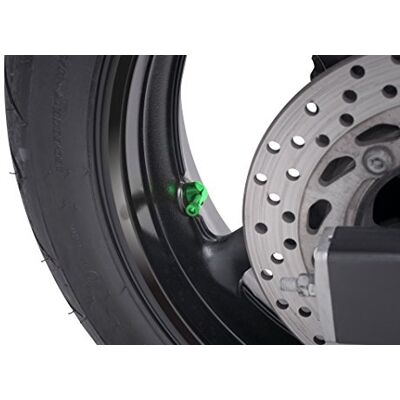 Puig 8100 V Válvulas de roda em alumínio mecanizado anodizado com design funcional para facilitar o enchimento e personalizar a estética, verde Puig 8100 V Válvulas de roda em alumínio mecanizado anodizado com design funcional para facilitar o enchimento e personalizar a estética, verde