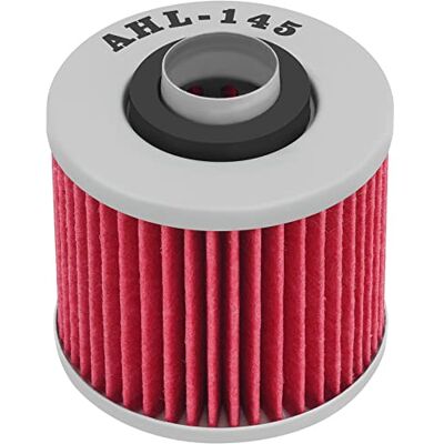AHL Filtro de óleo de motocicleta filtro para YAMAHA SR250 250 1979-1996 AHL Filtro de óleo de motocicleta filtro para YAMAHA SR250 250 1979-1996