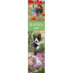 Korsch Verlag Katzen Langplaner 2026: Langplaner Korsch Verlag Katzen Langplaner 2026: Langplaner