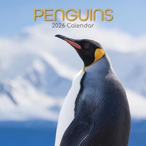 The Gifted Stationery The Gifted Stationary calendário de parede quadrado 2026, design de pinguins, calendário suspenso de 16 meses com 180 decalques lembrete, planificador mensal para espaços criativos, 12 x 12 The Gifted Stationery The Gifted Stationary calendário de parede quadrado 2026, design de pinguins, calendário suspenso de 16 meses com 180 decalques lembrete, planificador mensal para espaços criativos, 12 x 12