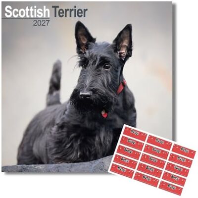 AVONSIDE Scottish Terrier 2027 Calendário com autocolantes de organização, calendário de parede quadrado de 16 meses (set 2026 dez 2027), planeador para amantes de cães, 29,5 x 29,5 cm AVONSIDE Scottish Terrier 2027 Calendário com autocolantes de organização, calendário de parede quadrado de 16 meses (set 2026 dez 2027), planeador para amantes de cães, 29,5 x 29,5 cm