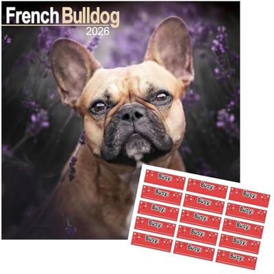 AVONSIDE Bulldog francês 2027 calendário com autocolantes de organização, calendário de parede quadrado de 16 meses (set 2026 dez 2027), planeador para amantes de cães, 29,5 x 29,5 cm AVONSIDE Bulldog francês 2027 calendário com autocolantes de organização, calendário de parede quadrado de 16 meses (set 2026 dez 2027), planeador para amantes de cães, 29,5 x 29,5 cm