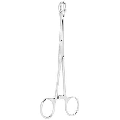 Fictory Ferramenta de perfuração profissional orelha lábios umbigo nariz língua Septum esponja pinças braçadeira alicates para perfurar o corpo ferramenta Fictory Ferramenta de perfuração profissional orelha lábios umbigo nariz língua Septum esponja pinças braçadeira alicates para perfurar o corpo ferramenta