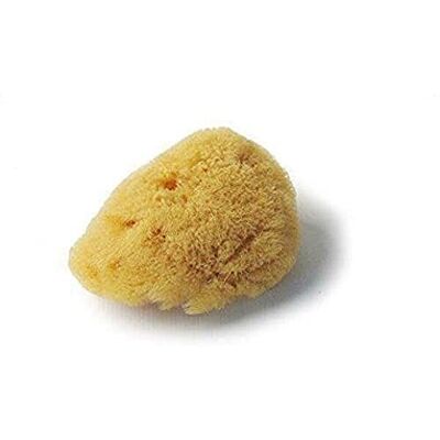 Croll & Denecke Esponja natural do mar Mediterrâneo (poro fino, para cuidados faciais, 5 cm) Croll & Denecke Esponja natural do mar Mediterrâneo (poro fino, para cuidados faciais, 5 cm)