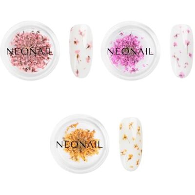 NÉONAIL NEONAIL Conjunto de ornamentos para unhas flores secas kit unhas acrílicas decoração manicure Nail Art decoração ornamentos de unhas 3 cores rosa, roxo, laranja NÉONAIL NEONAIL Conjunto de ornamentos para unhas flores secas kit unhas acrílicas decoração manicure Nail Art decoração ornamentos de unhas 3 cores rosa, roxo, laranja