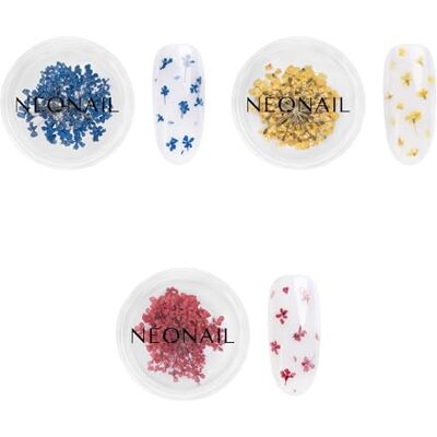 NÉONAIL NEONAIL Conjunto de ornamentos para unhas flores secas kit unhas acrílicas decoração manicure Nail Art decoração ornamentos de unhas 3 cores Navy, Yellow, Red NÉONAIL NEONAIL Conjunto de ornamentos para unhas flores secas kit unhas acrílicas decoração manicure Nail Art decoração ornamentos de unhas 3 cores Navy, Yellow, Red