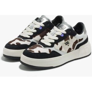 D.FRANKLIN Sapatos Animal Print Court Flag Cow - Tamanho 39 - Sapatos Senhora D.FRANKLIN Sapatos Animal Print Court Flag Cow - Tamanho 39 - Sapatos Senhora